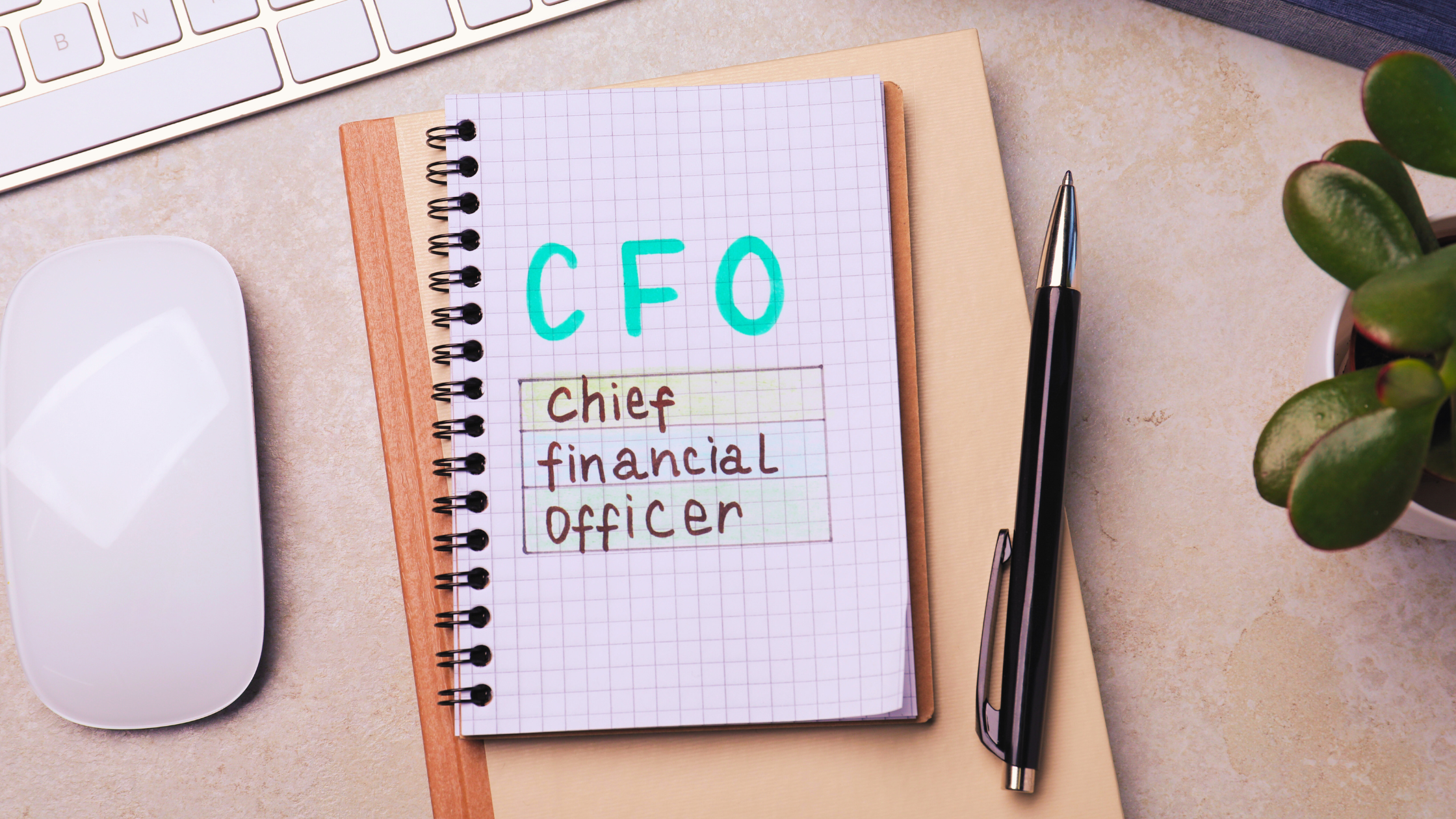 A Fractional CFO Can Help Your Business Grow Stronger, Smarter, and More Profitable